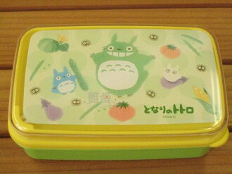<宮崎駿會館>12020600063 便當盒附筷-綠底蔬果 龍貓 TOTORO 豆豆龍 餐盒 飯盒 日本製