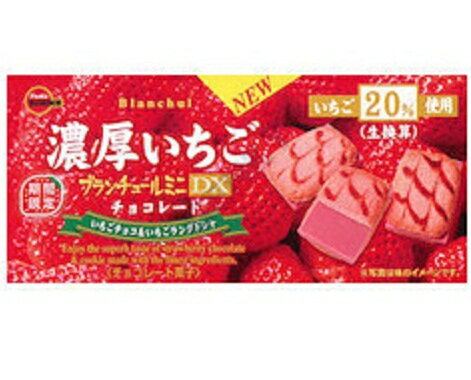北日本小盒草莓巧克力餅 48g