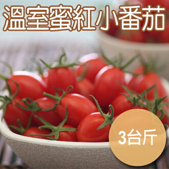 【農夫家】溫室蜜紅小番茄，口感一級棒，3台斤免運