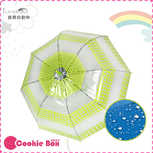 *餅乾盒子* 韓國 環保 阿波羅 自動傘 直傘 雨傘 透明 宮廷 印花 彈性好 輕量 不翻傘 堅固 耐用 防風
