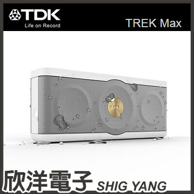 ※ 欣洋電子 ※ TDK TREK Max 高音質防水藍芽音響(A34) 白色 總代理原廠公司貨