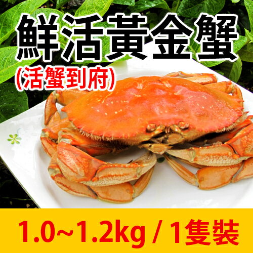 活蟹到府【台北濱江】鮮活黃金蟹1.0~1.2kg/1隻