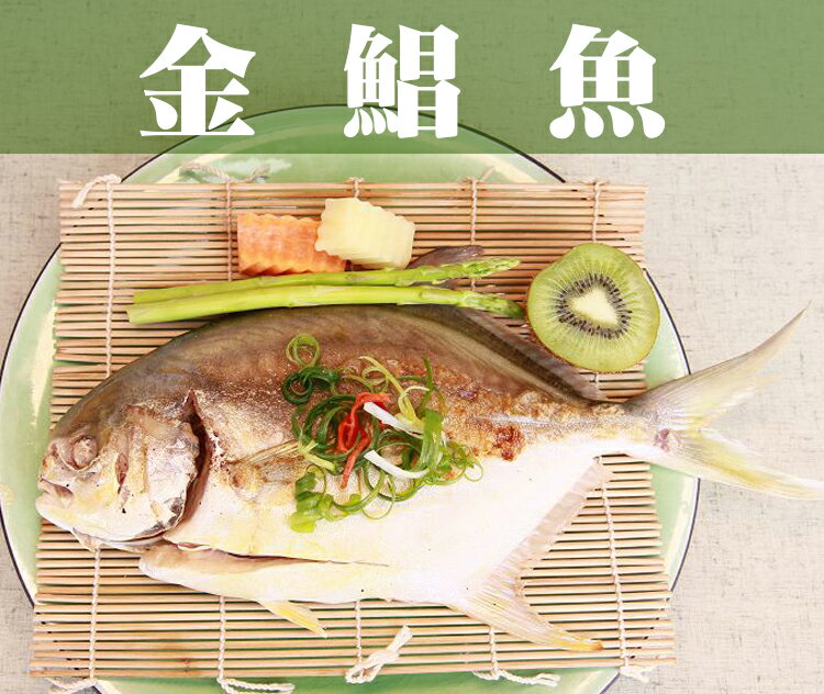 《鮮樂GO》金鯧魚 500g土10%/隻 / 肉質鮮嫩可口，媲美價值昂貴白鯧 / 喜氣金黃色澤，辦桌拜拜必備食材