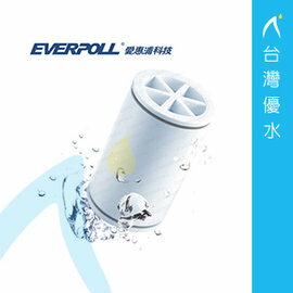 【免運費】EVERPOLL 愛惠浦科技 微分子潔膚活水器專用濾芯(MKC)