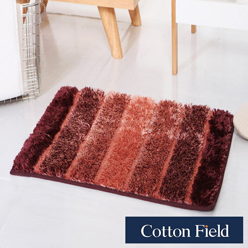 【Rainbow】超細纖維吸水防滑踏墊-珊瑚紅(40x60cm)