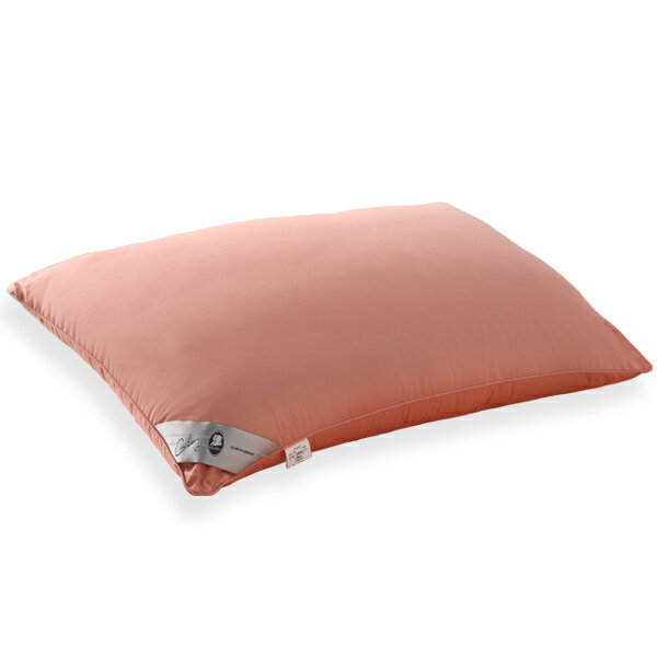 【GLORY】抗菌透氣個性枕 有色枕/單顆