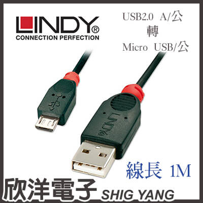 ※ 欣洋電子 ※ LINDY林帝 USB2.0 A/公 轉 Micro B/公 傳輸線(31664) 1m/1米/1公尺