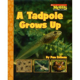◎A Tadpole Grows Up(Scholastic)中年級適合
