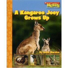◎A Kangaroo Joey Grows Up(Scholastic)中年級適合
