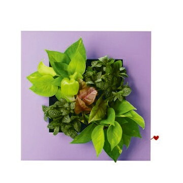iEcofun創意造型花器-印象風綠繪(紫)