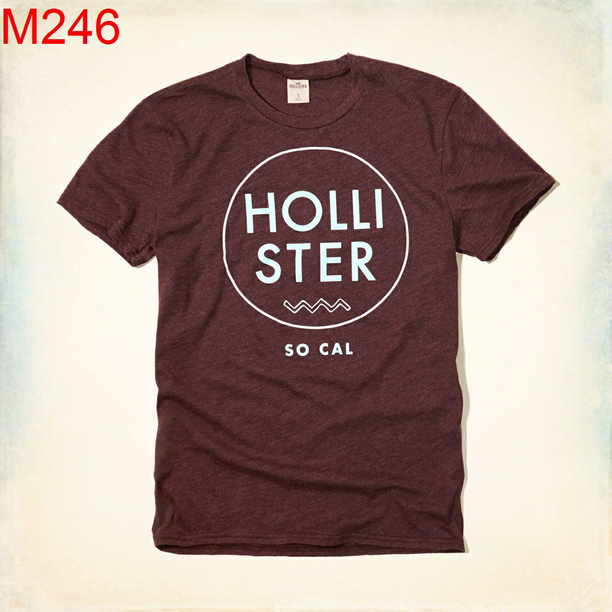【AF 美國-store】HCO Hollister Co. 男 當季最新現貨 T-SHIRT HCO M246