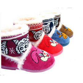 代理採購商品新款USB+電兩用電暖鞋