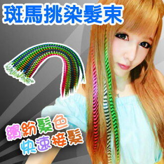 ☆雙兒網☆耐熱材質可上電棒/印地安彩色髮束/斑馬紋路接髮片【MF007】斑馬挑染髮束