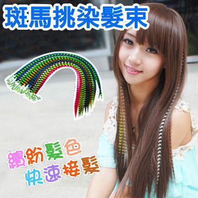 ☆雙兒網☆耐熱材質可上電棒/印地安彩色髮束/斑馬紋路接髮片【MF007】斑馬挑染髮束