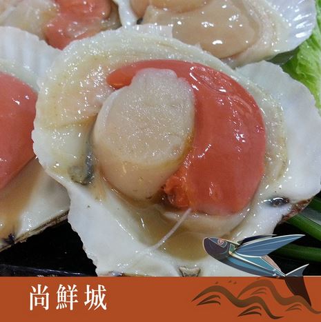 【尚鮮網】超鮮大扇貝(10顆)