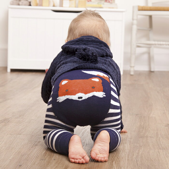 【HELLA 媽咪寶貝】英國 JoJo Maman BeBe 圖案嬰幼兒內搭褲/保暖襪_海軍藍狐狸(JJP006)