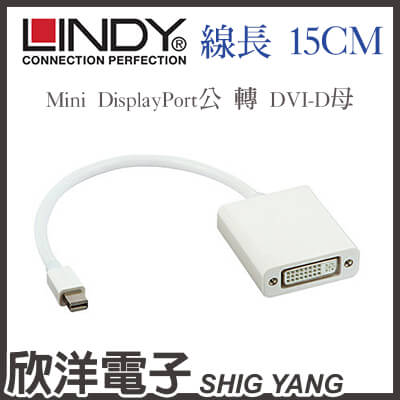 ※ 欣洋電子 ※ LINDY林帝 Mini DisplayPort公 轉 DVI-D母 轉接線(41013) 15CM/15公分 MacBook/iMac/Mac mini  