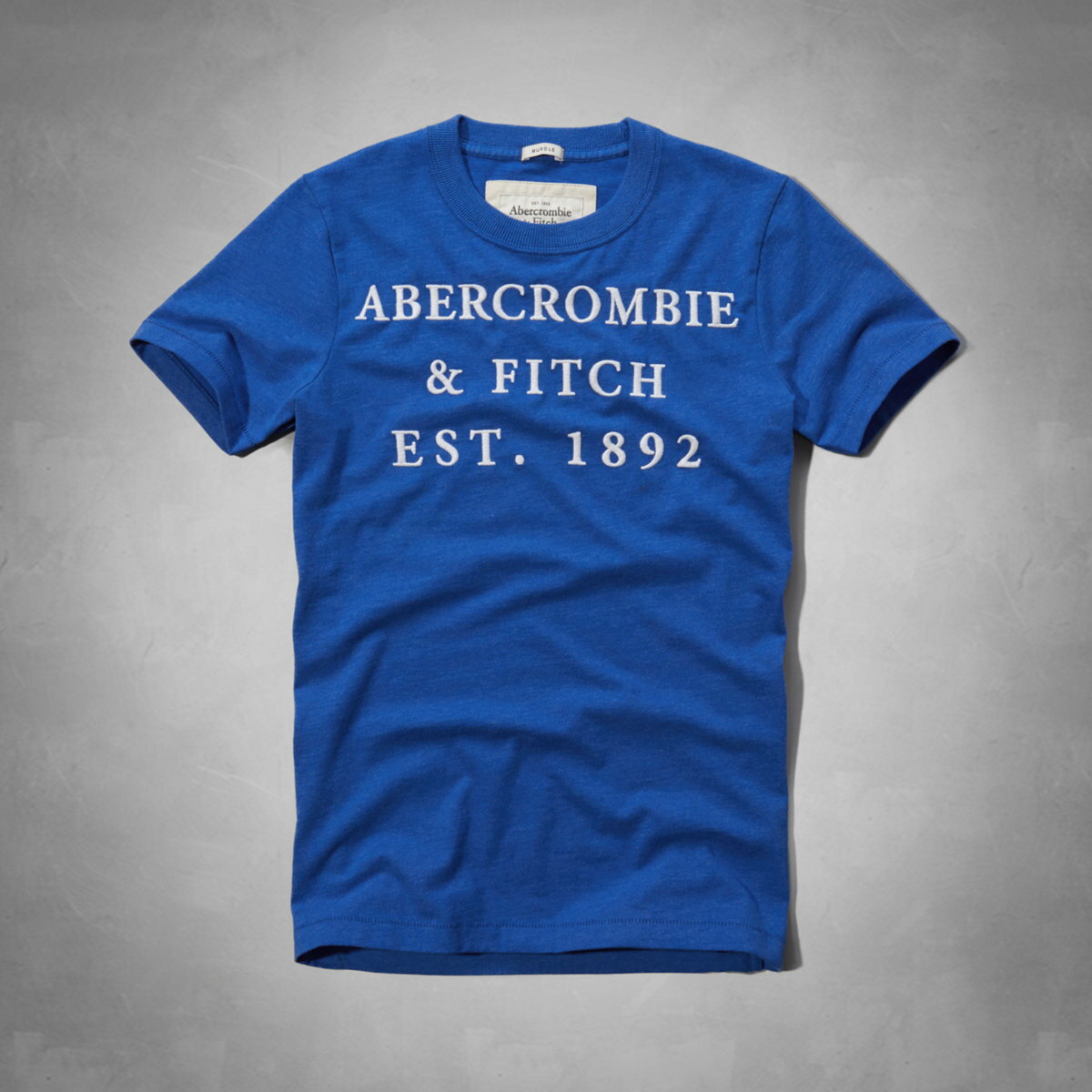 美國百分百【全新真品】Abercrombie & Fitch T恤 AF 短袖 T-shirt 麋鹿 寶藍 文字 刺繡 字母 男 S M號