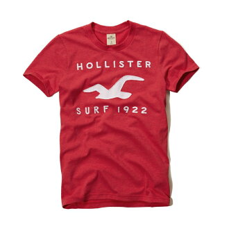 美國百分百【全新真品】Hollister Co. T恤 HCO 短袖 T-shirt 海鷗 桃紅 文字 刺繡 Logo 男 M L XL - 限時優惠好康折扣