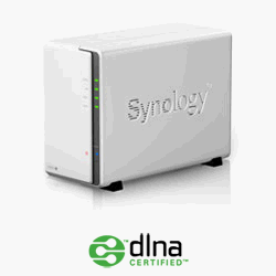 Synology Armada370 1.2CPU/512MB/2Bay/USBx2/1LAN/NAS 網路儲存NAS伺服器 DS213J