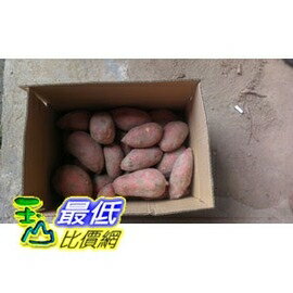 [104玉山網] (產地直寄無法超取) 台灣本產金山紅地瓜(番薯) 5斤