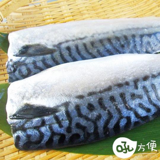 【吼方便】挪威頂級薄鹽鯖魚180g~200g/片