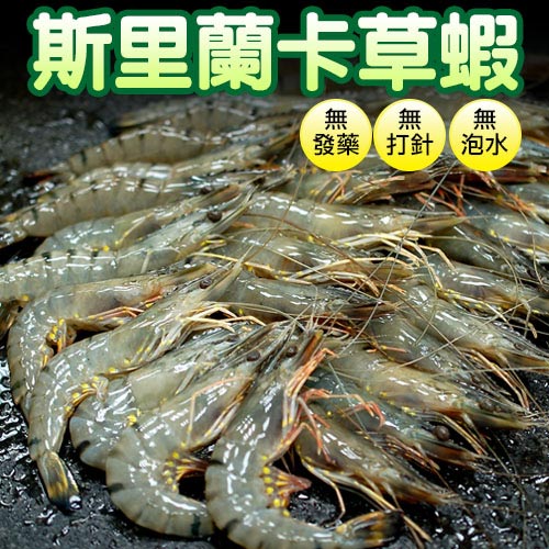 【築地一番鮮】斯里蘭卡野生草蝦1kg(約45-50隻/箱)