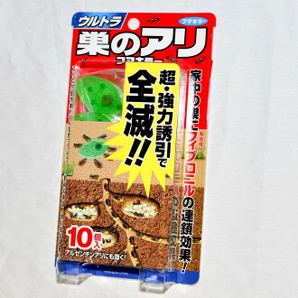 消滅螞蟻 天然食餌窩 一盒10個 日本製造 日本帶回
