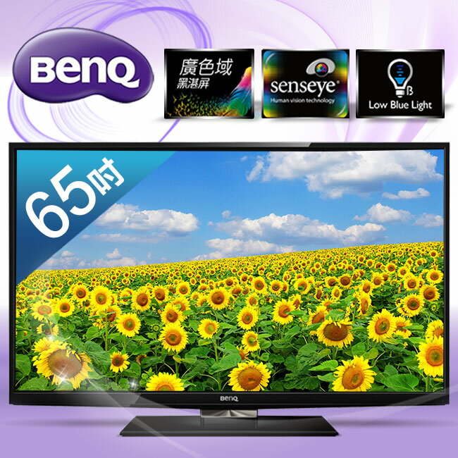 【BenQ】65吋廣色域低藍光LED液晶顯示器+視訊盒／65AW6600+DT-143T