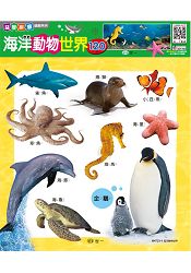 海洋動物世界：30片