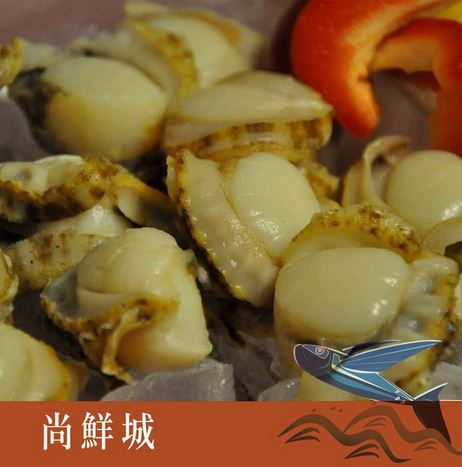 【尚鮮網】生食級帆立貝(15-16顆)