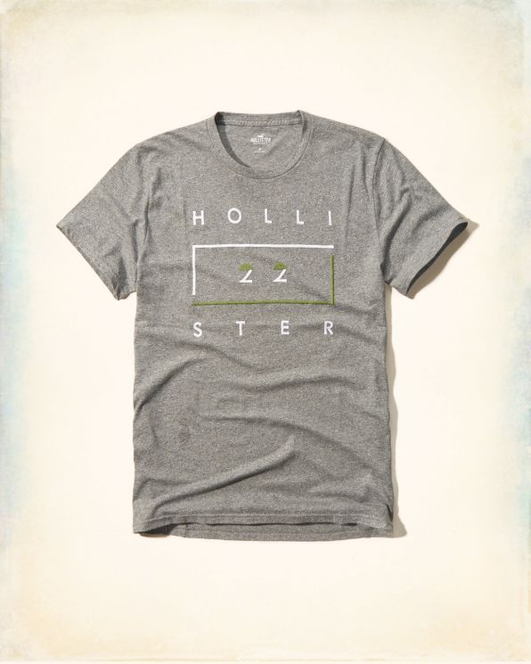 Hollister 男HCO T-Shirt 短袖 上衣 T恤 (灰)
