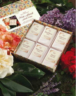 Nesti Dante 城市之花禮盒《100g*6》★內含6種花香皂★義大利原裝進口★那是堤手工皂★