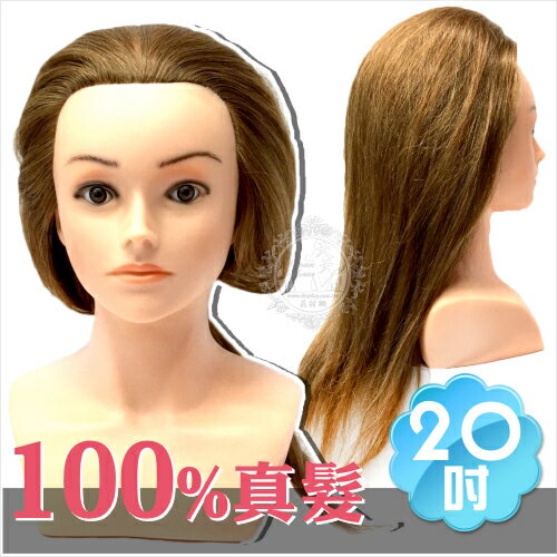 【100%真髮】台灣製七股神奇F2(20吋)半身頭-(棕色髮) [44685]剪髮盤髮練習