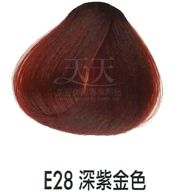 耐婷 亮彩染髮劑 E-28 深紫金色60g [15412] ::WOMAN HOUSE::