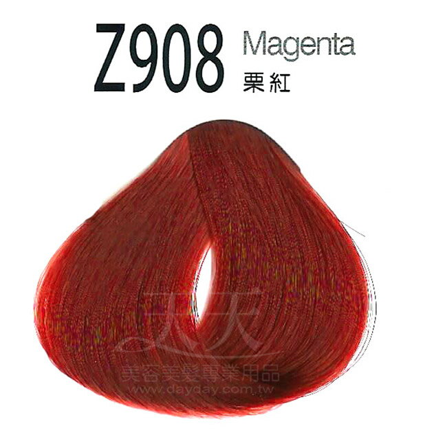 審美家 護髮染髮膏 500ml Z908栗紅 [72200] ::WOMAN HOUSE::