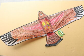 特大老鷹風箏 造型風箏 立體老鷹風箏(特大立體布面碳纖維架162cm X 78cm)/一隻入{定180}3608A