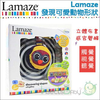 +蟲寶寶+ 【Lamaze】拉梅茲嬰幼兒玩具-發現可愛動形狀《現+預》