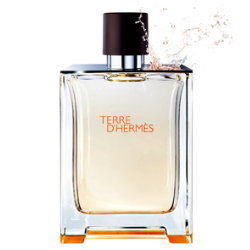 《香水樂園》Hermes Terre D'Hermes 愛馬仕 大地 男性淡香水 100ml TESTER