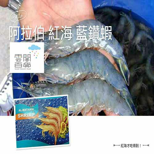 ✡ 阿拉伯 البحر الأحمر 紅海 藍鑽蝦 (2kg約90尾/盒) →【SDF雲閣百貨】