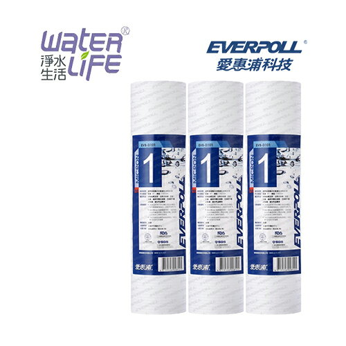 【淨水生活】《EVERPOLL 愛惠浦科技》溝槽抗菌濾心 EVB-D101(3支入)