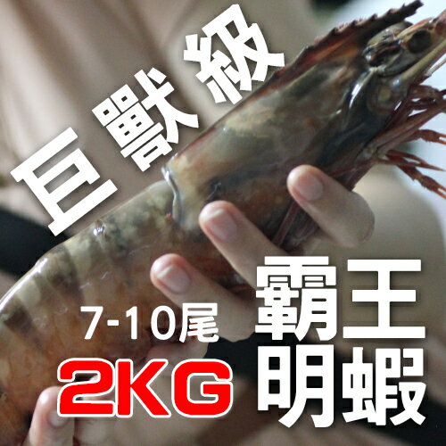 【免運/手臂長明蝦】2KG重的霸王明蝦，絕無僅有的巨大尺寸。7-10尾裝。感謝電視媒體推薦的巨獸神龍/禮盒【陸霸王】