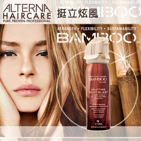 ALTERNA 瑪卡 挺立炫風207g §異國精品§ 另有 施華蔻 OSIS 黑炫風特強定型霧