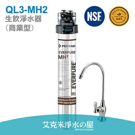 愛惠浦MH2生飲淨水器/濾水器(商業型-咖啡機專用)--美國原廠公司貨，配備NSF認證低鉛出水龍頭，加贈前置單道濾心組、免費標準安裝