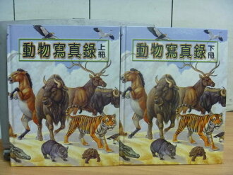 【書寶二手書T8/少年童書_ZHV】動物寫真錄_上下合售