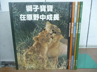 【書寶二手書T9/少年童書_RGF】小小探險家叢書精選_野生貓科動物等_6本合售