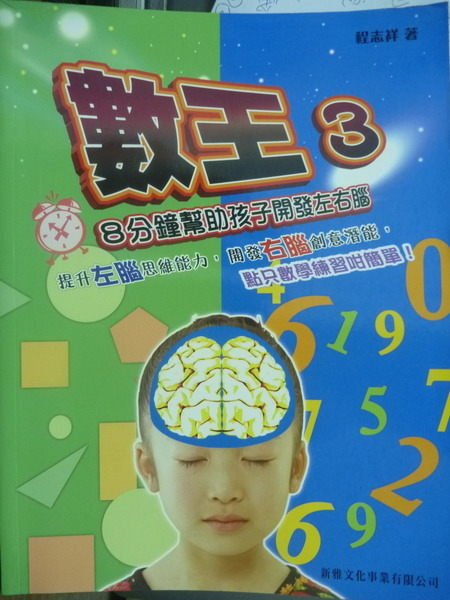 【書寶二手書T3／少年童書_PJA】數王3_程志祥