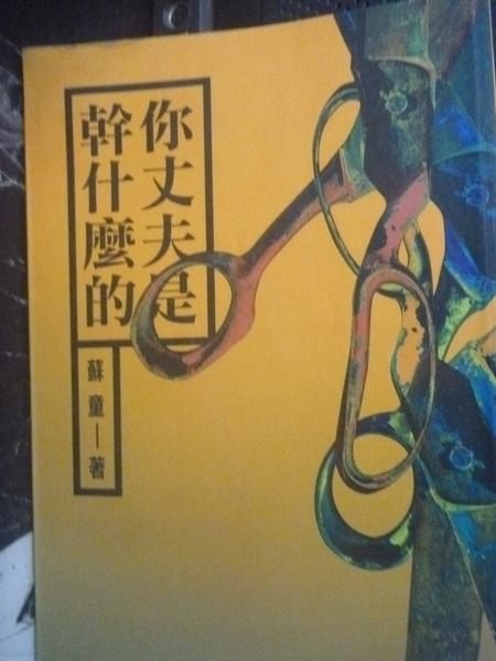 【書寶二手書T7／一般小說_JLM】你丈夫是幹什麼的_蘇童