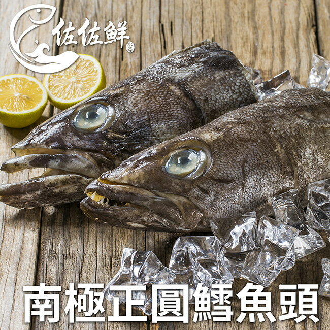 02[美食大分享]【佐佐鲜】南极正圆鳕鱼头_340