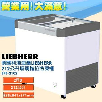 德國利勃 海爾 LIEBHERR 212公升 玻璃推拉冷凍櫃 EFE-2102 指針式溫度計